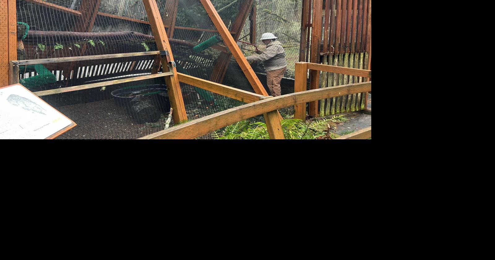 Cascades Raptor Center to reopen after community support for storm ...