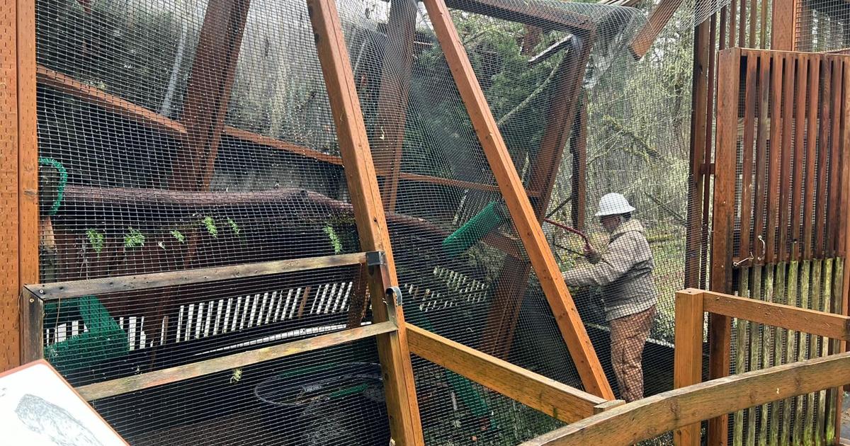 Cascade Raptor Cascades Raptor Center to reopen after community support for storm ...