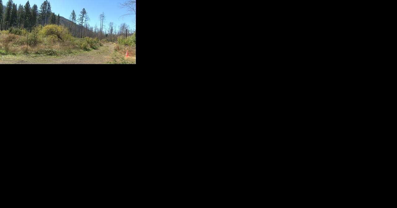 Affordable and fire-wise homes plan to help rebuilding efforts in Blue River - Vimarsana News