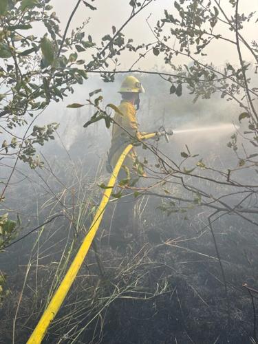 Eugene Springfield Fire crews respond to three brush fires and one ...