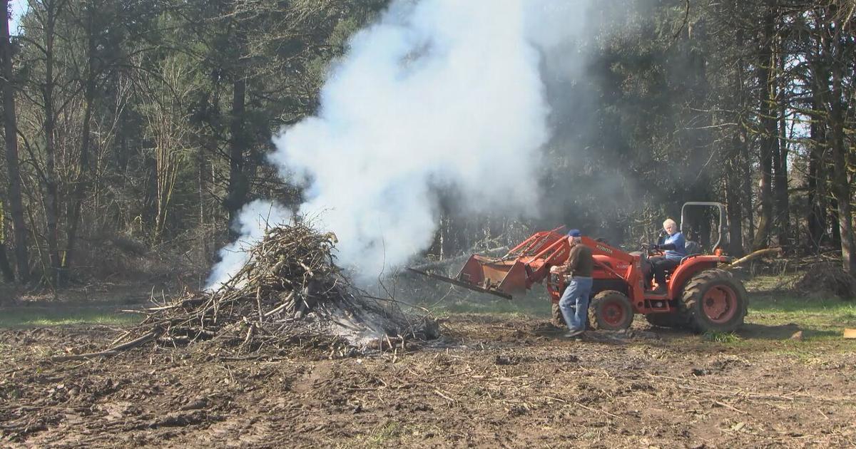 65dc02df48e7a.image.jpg?crop=1280,672,0,