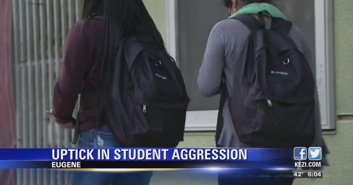 Student Behavior Aggression Why are schools seeing an uptick in student aggression? Experts explain ...