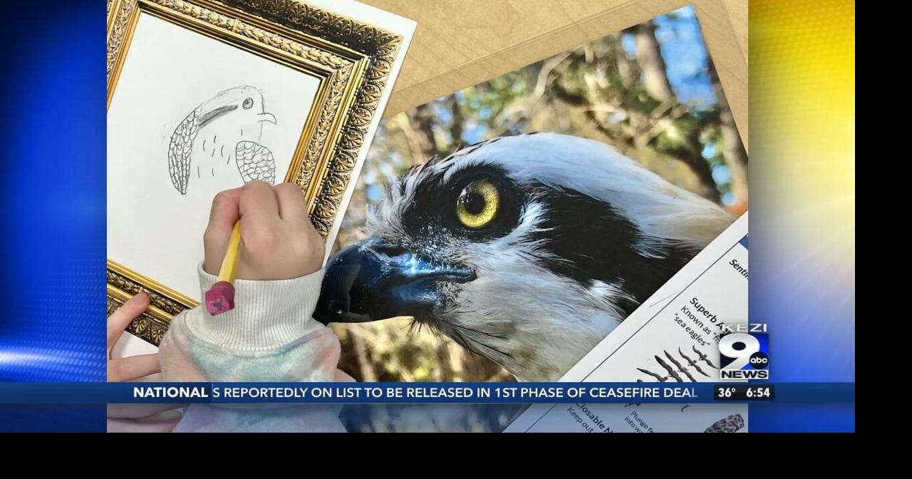 Cascades Raptor Center hosting 2025 Youth Raptor Art Challenge | Video ...
