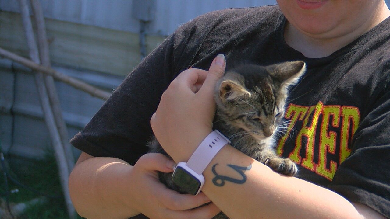 Animals being dumped on the side of the road near Sweet Home weigh on residents