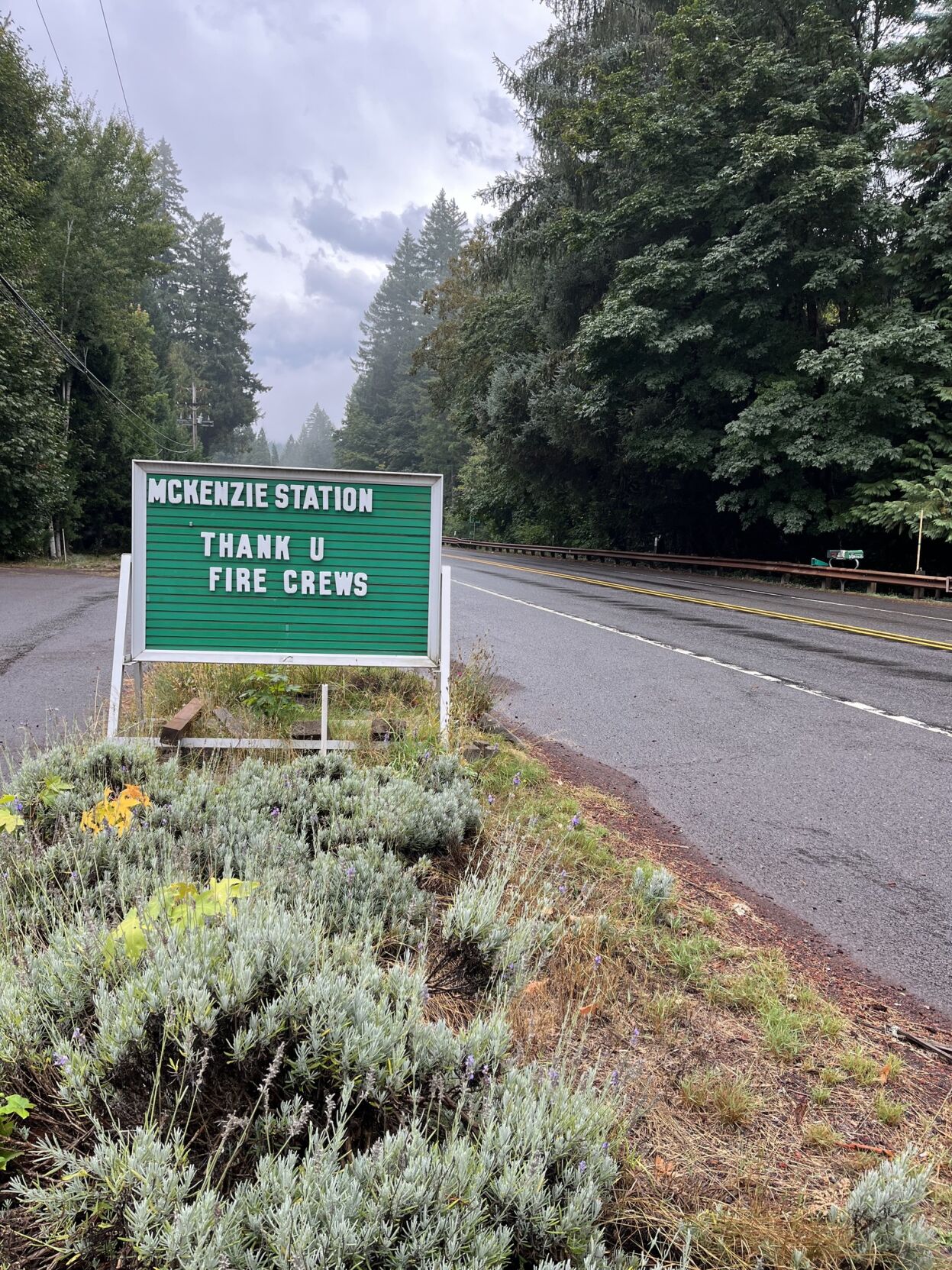 Foresters Begin Surveys Of Areas Burned By Wildfires | News | Kezi.com