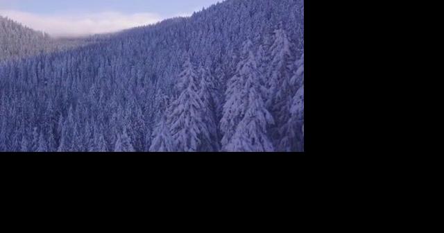 Willamette National Forest receives $14.7 million for wildfire fuels reduction efforts - Vimarsana News