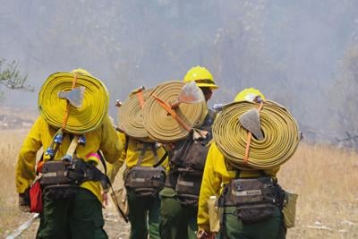 DFPA wildland firefighters