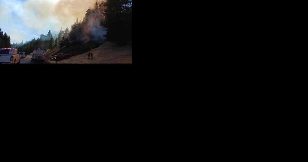 One lane of southbound Interstate 5 closed temporarily while fire crews battled grass fire - Vimarsana News