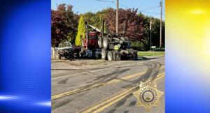 Woman Dies in Log Truck Crash on Territorial Highway