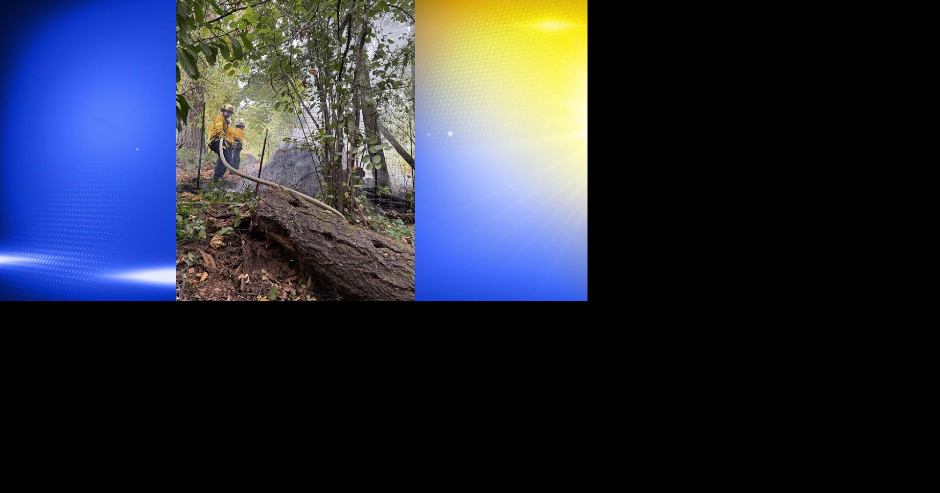 Eugene fire crews stop compost blaze from spreading to trees | Local ...