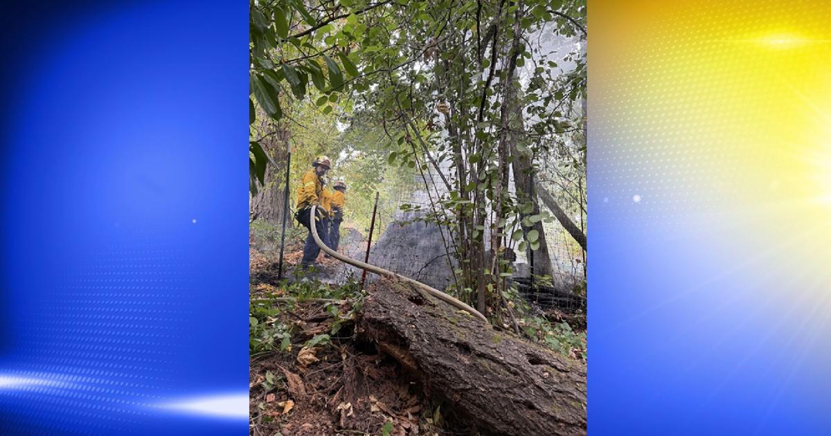 Compester Recipe Eugene fire crews stop compost blaze from spreading to trees | Local ...
