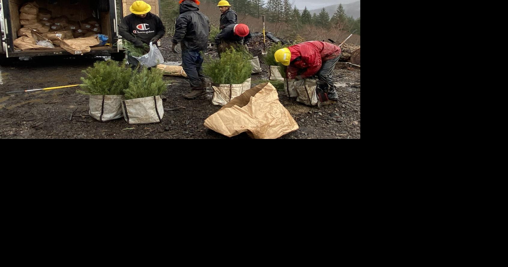 69bb056c6d401.image.jpg?crop=1692,888,0,