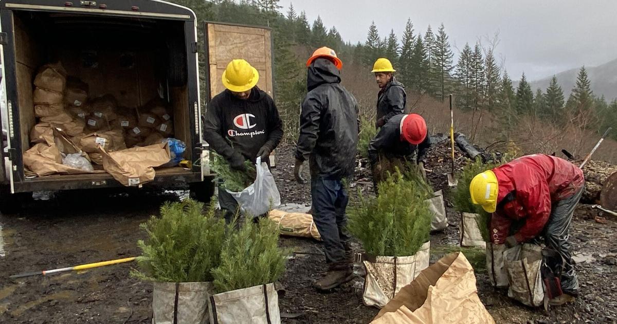 69bb056c6d401.image.jpg?crop=1692,888,0,