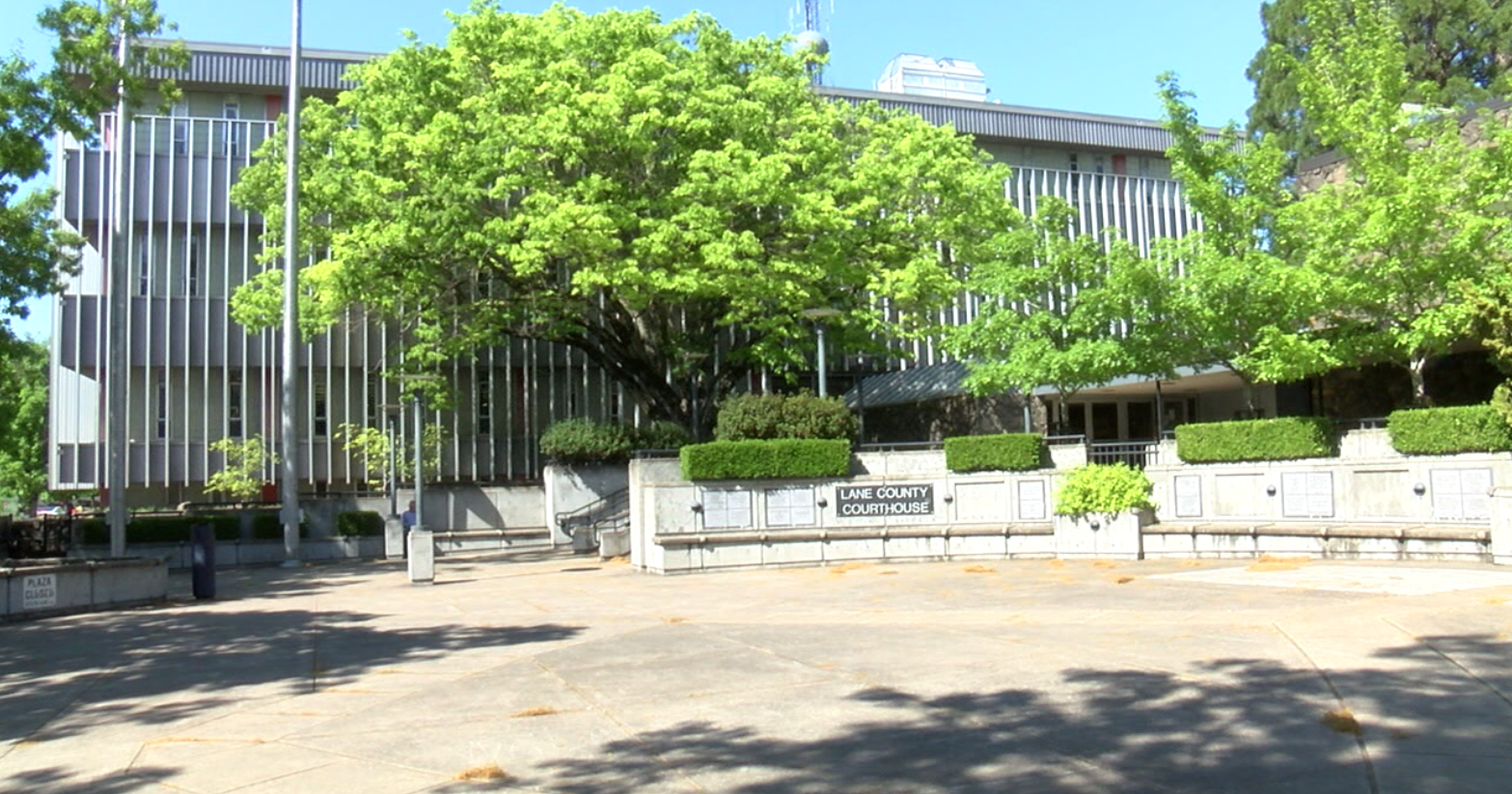 Lane Transit District lawsuit alleges woman fraudulently collected insurance payments - Vimarsana News