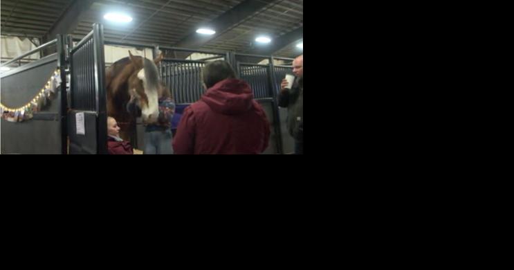 Equine enthusiasts gather for 23rd annual Northwest Horse Fair and Expo - Vimarsana News