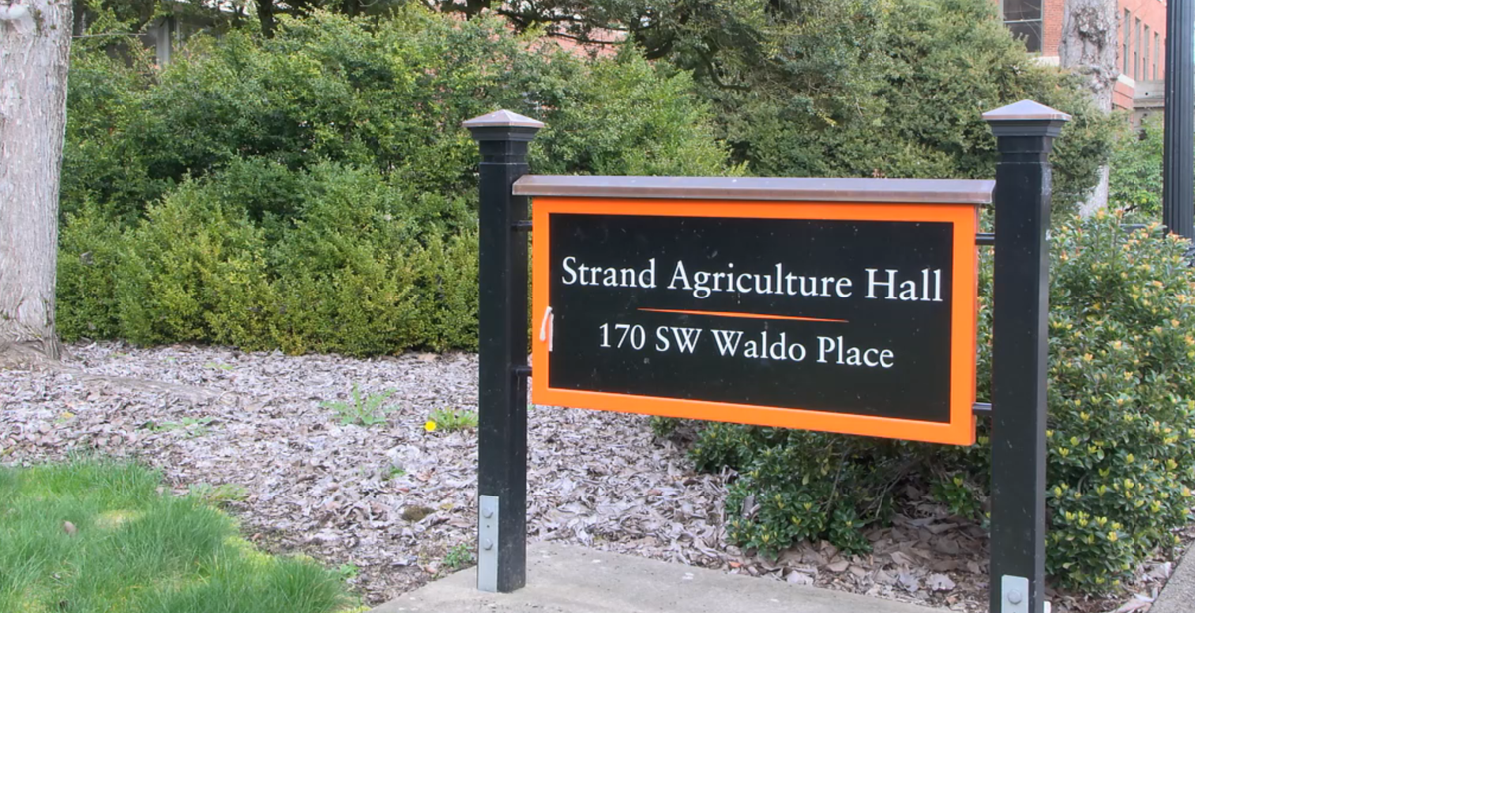 Oregon State researchers track Iran war damage with satellite imagery