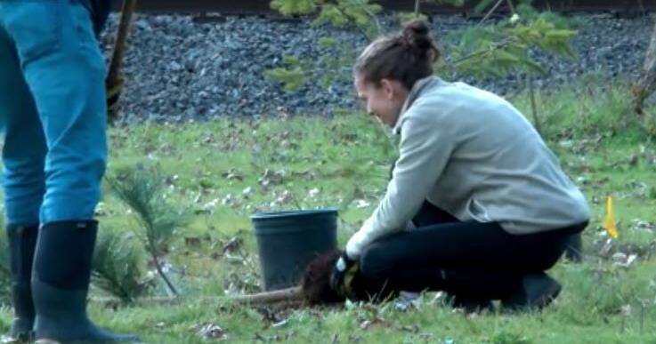 Volunteers plant 150 trees at University of Oregon in Eugene