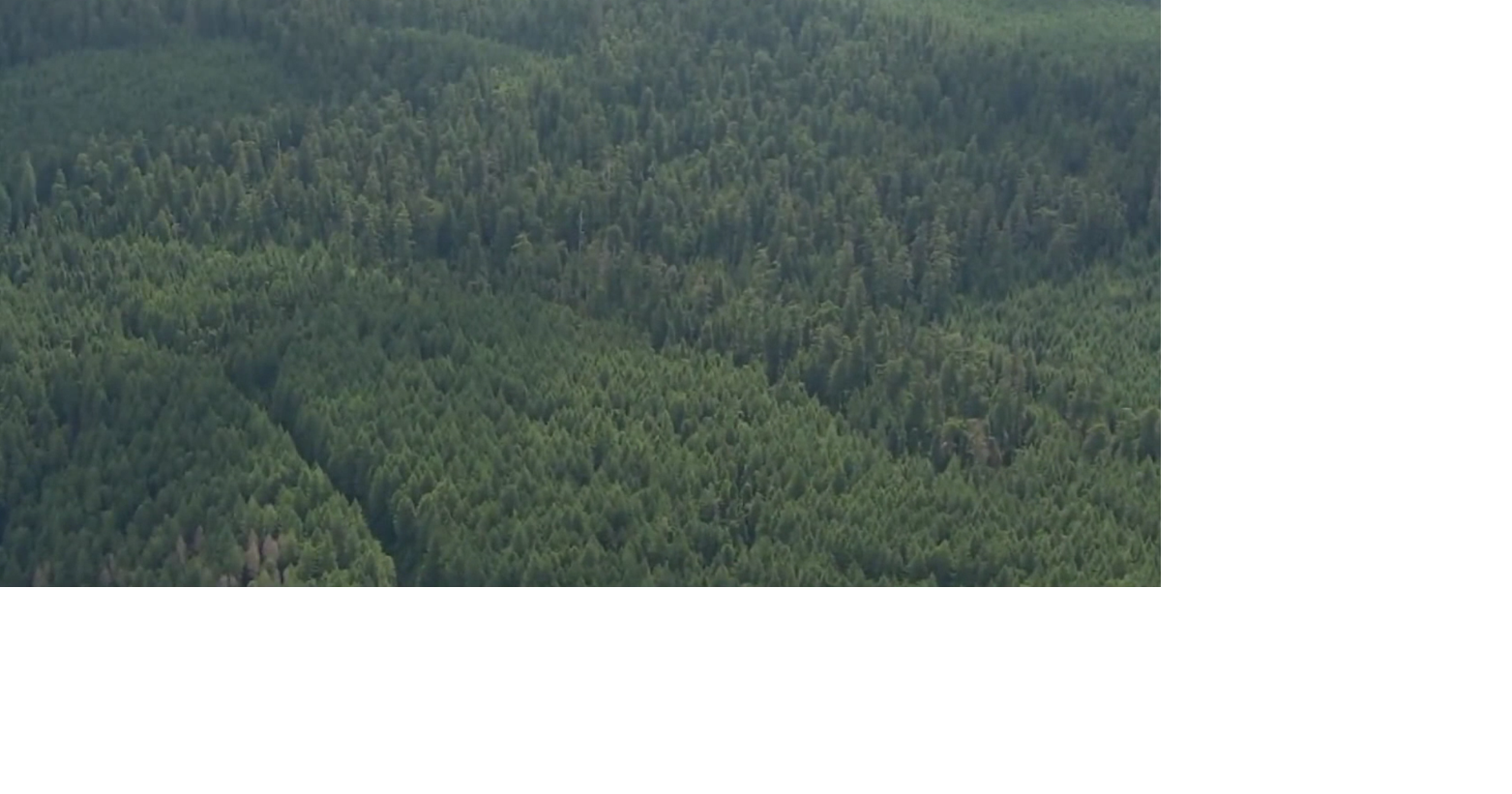 Public input sought for Oregon timberland management updates