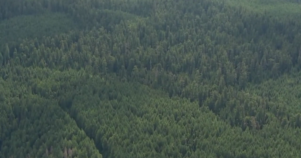 64837c90e814a.image.png?crop=1563,821,0,