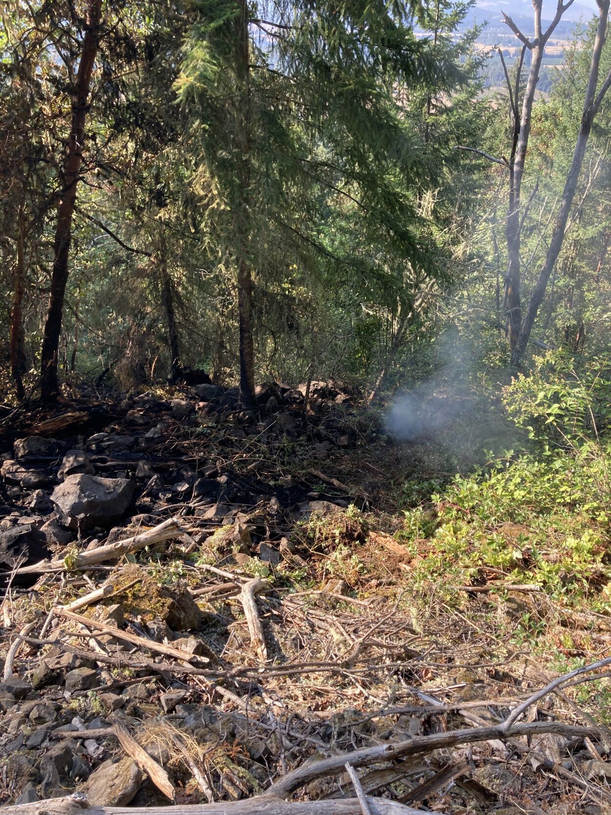 Likely Human-caused Brush Fire Extinguished In Thurston Hills Natural ...