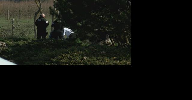 Neighbors report spotting vehicle tied to suspicious death overnight - Vimarsana News