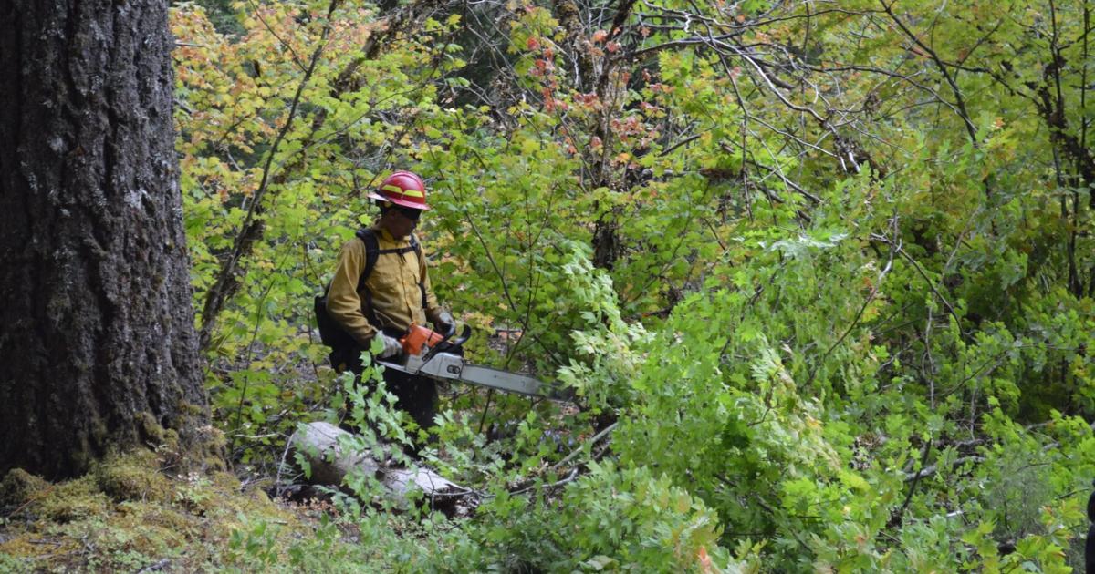 Foley Ridge Fire Foley Ridge Fire expands to 249 acres; crews work to contain blaze ...