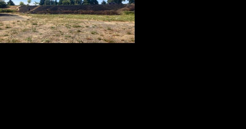 Firefighters quickly stop blackberry brush fire in Glenwood - Vimarsana News