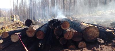 McComas Creek Fire scorched timber
