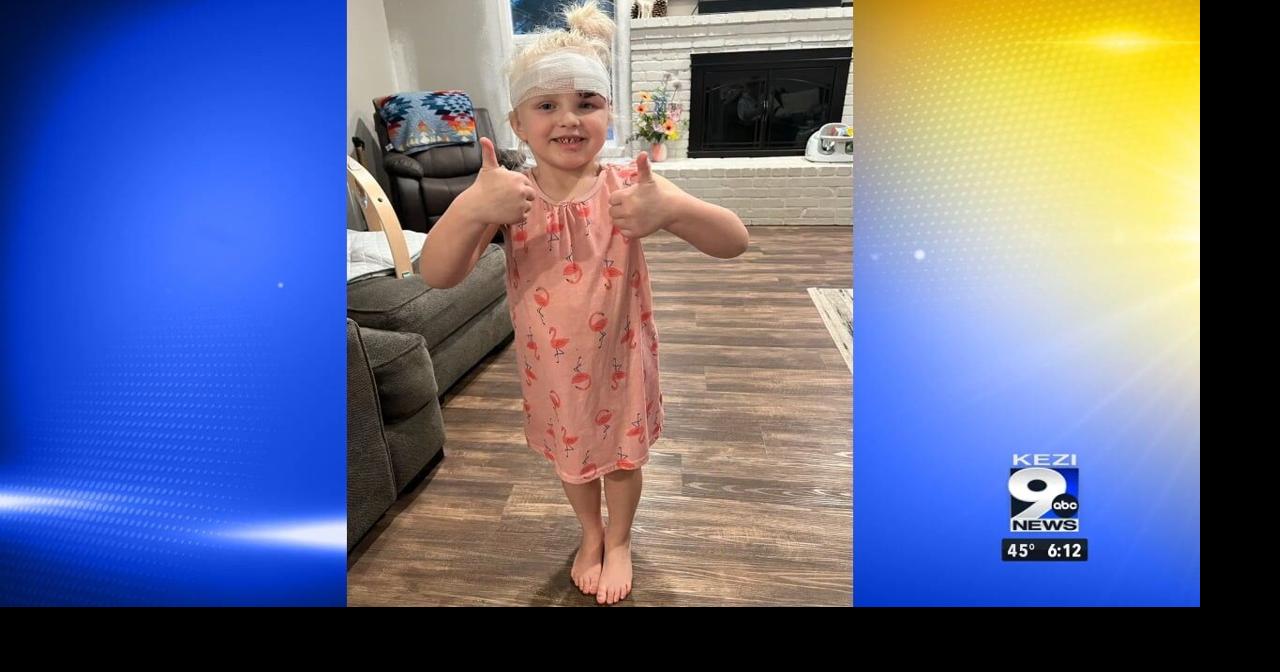 Five-year-old girl recovering after being bitten in the face by family ...