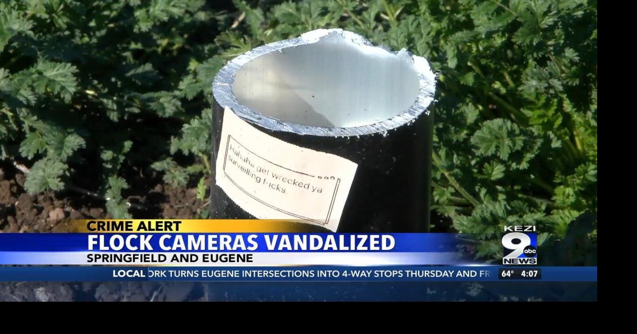 Flock Cameras Vandalized | Video | kezi.com