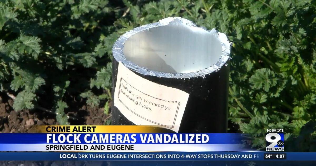 Flock Camera Getting Destroyed Flock Cameras Vandalized | Video | kezi.com