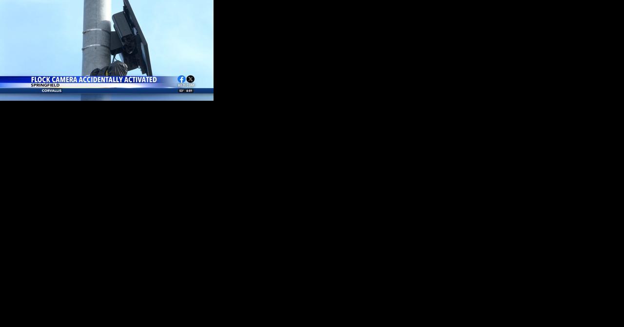 Stolen car found in Springfield due to Flock camera being accidentally activated