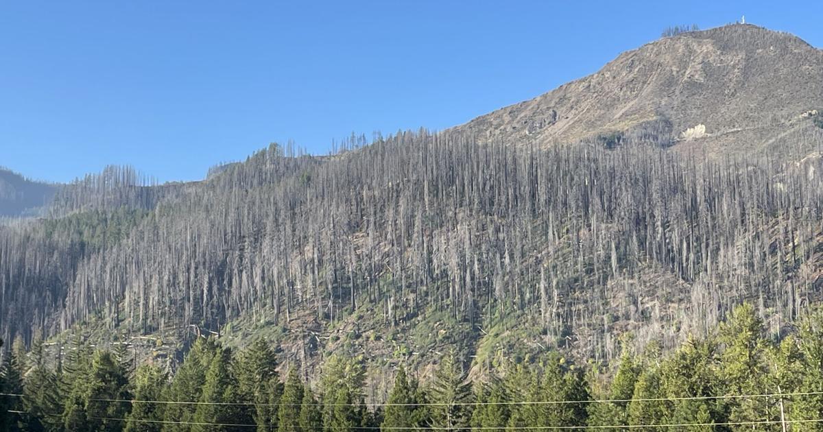 Foley Ridge Fire Map Foley Ridge Fire reaches 46% containment at 497 acres | Local | kezi.com