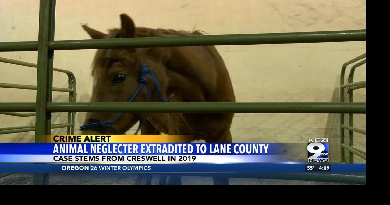 Animal Neglecter Extradited to Lane County | Video | kezi.com