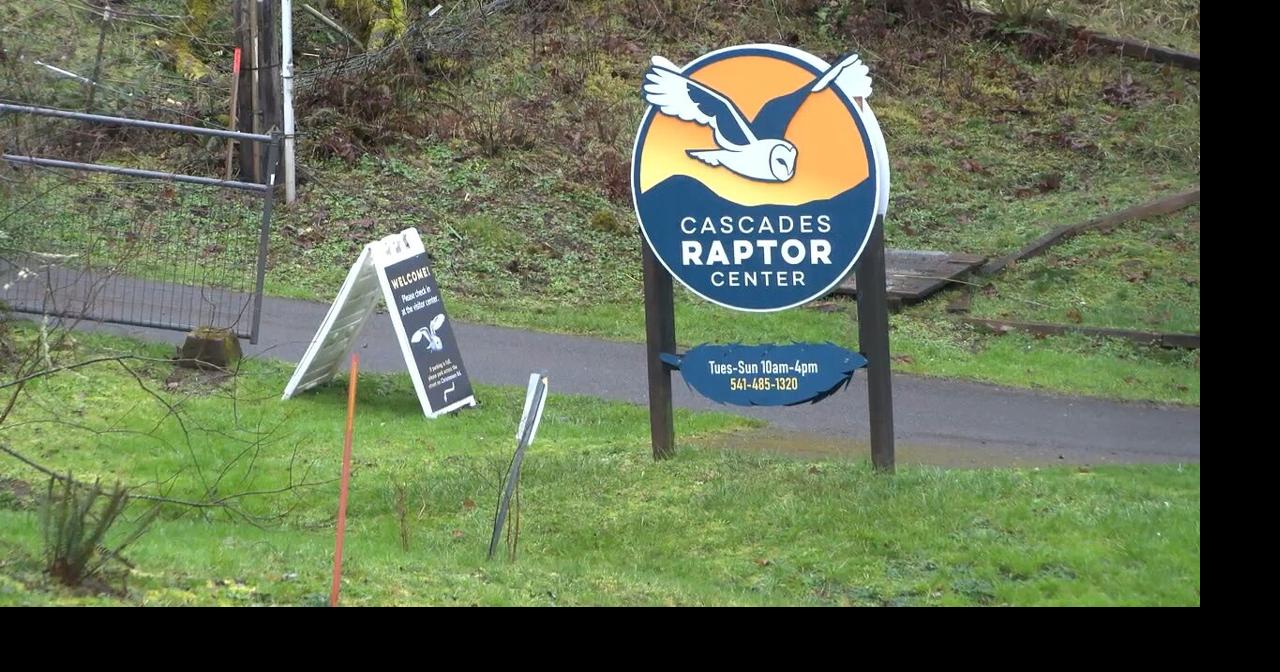 Cascades Raptor Center reopens | Video | kezi.com