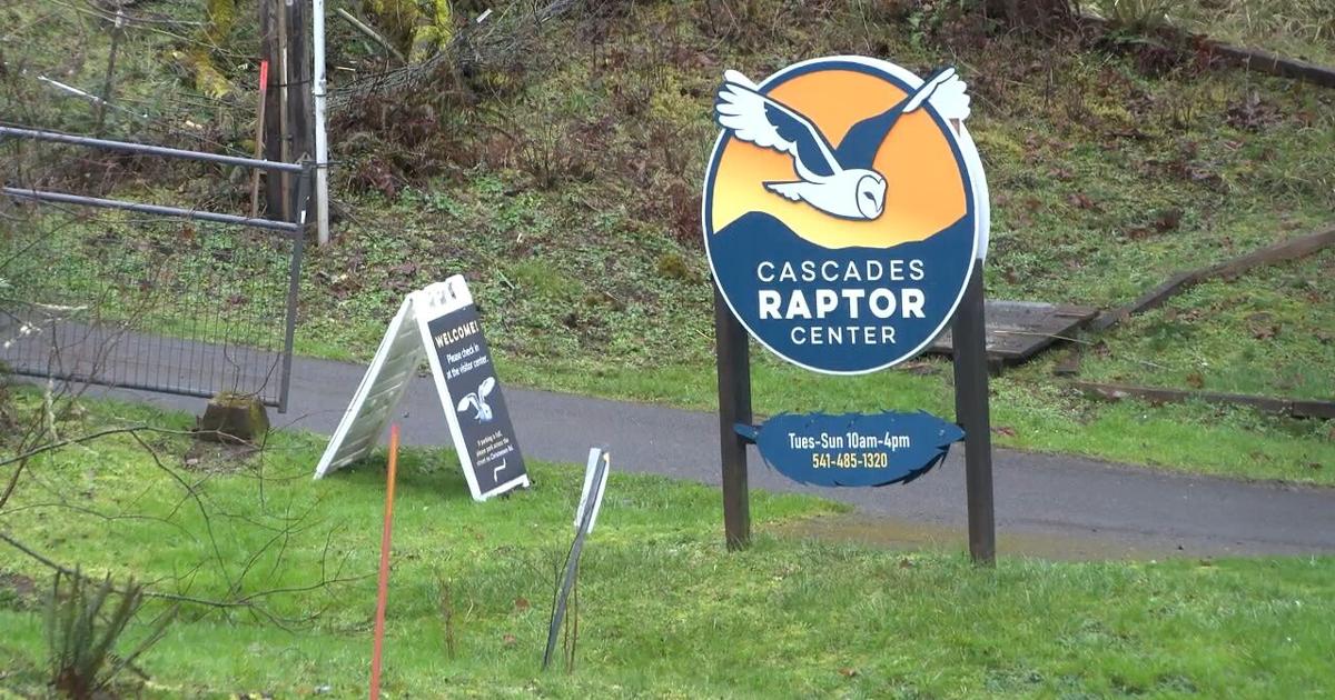 Cascade Raptor Cascades Raptor Center reopens | Video | kezi.com