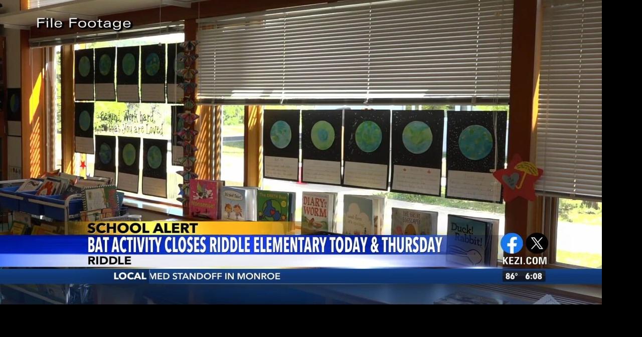 Bat Activity Closes Riddle Elementary for Two Days | Video | kezi.com
