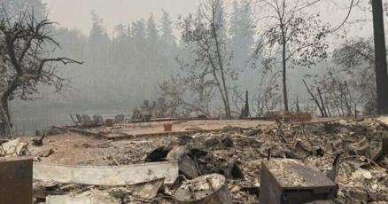 $5 million in federal funding available for small forest landowners affected by 2020 wildfires - Vimarsana News