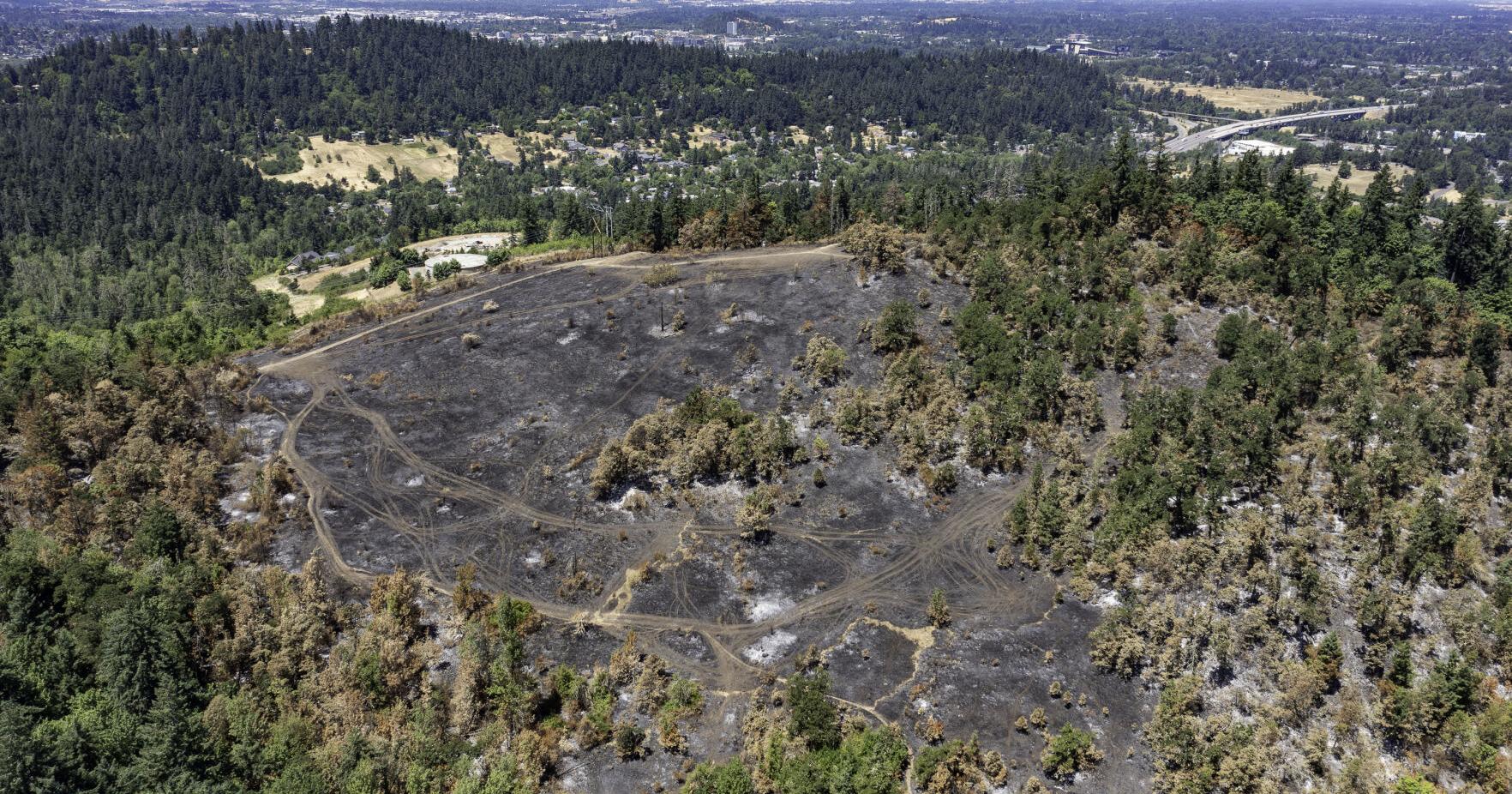 Moon Mountain Park temporarily closed to assess post-fire hazards - Vimarsana News