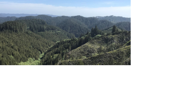 Native American officials concerned about environmental sustainability of Elliott State Research Forest - Vimarsana News