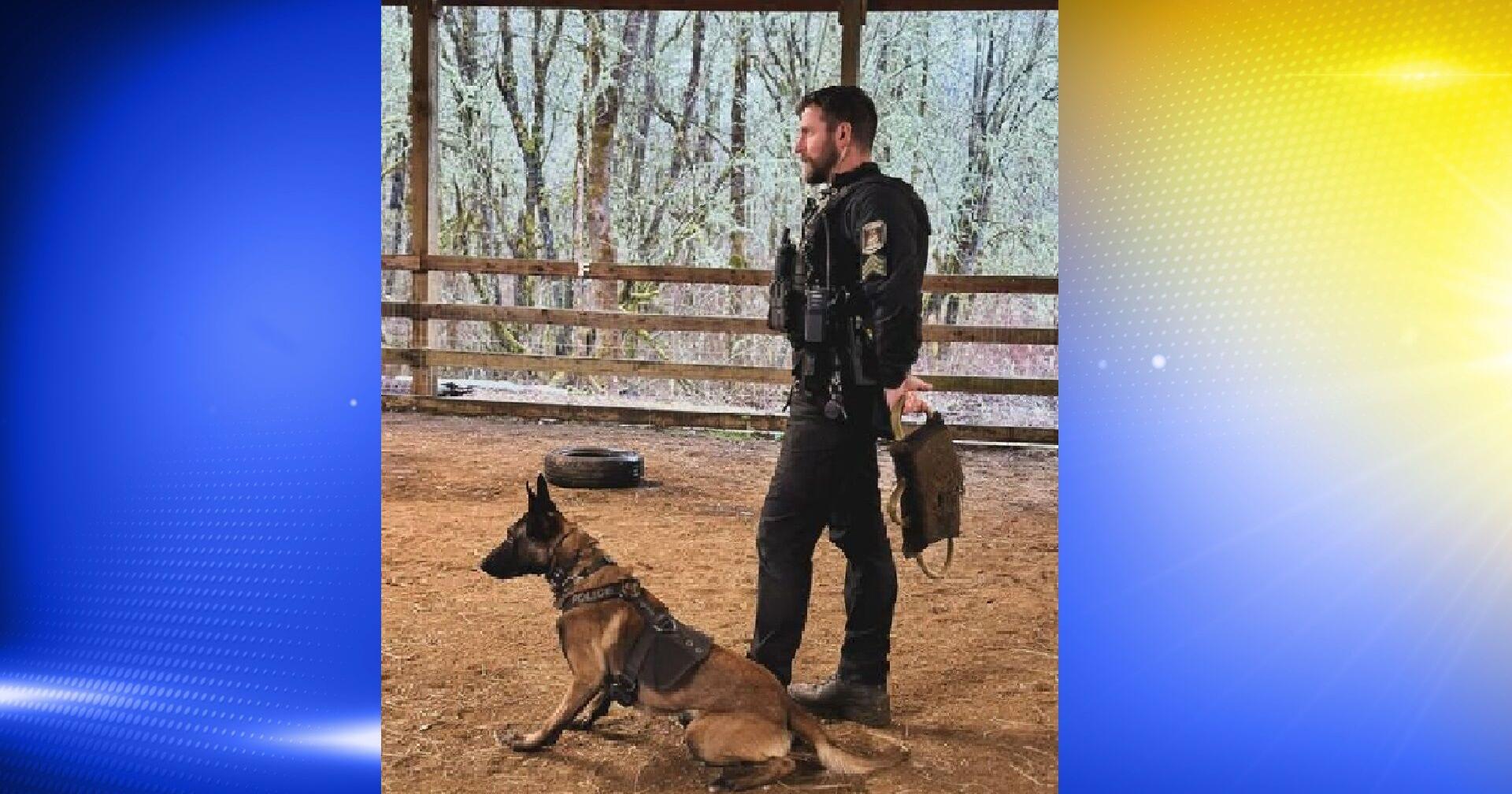 K9 assists in arrest of man accused of burglarizing former YMCA building - Vimarsana News