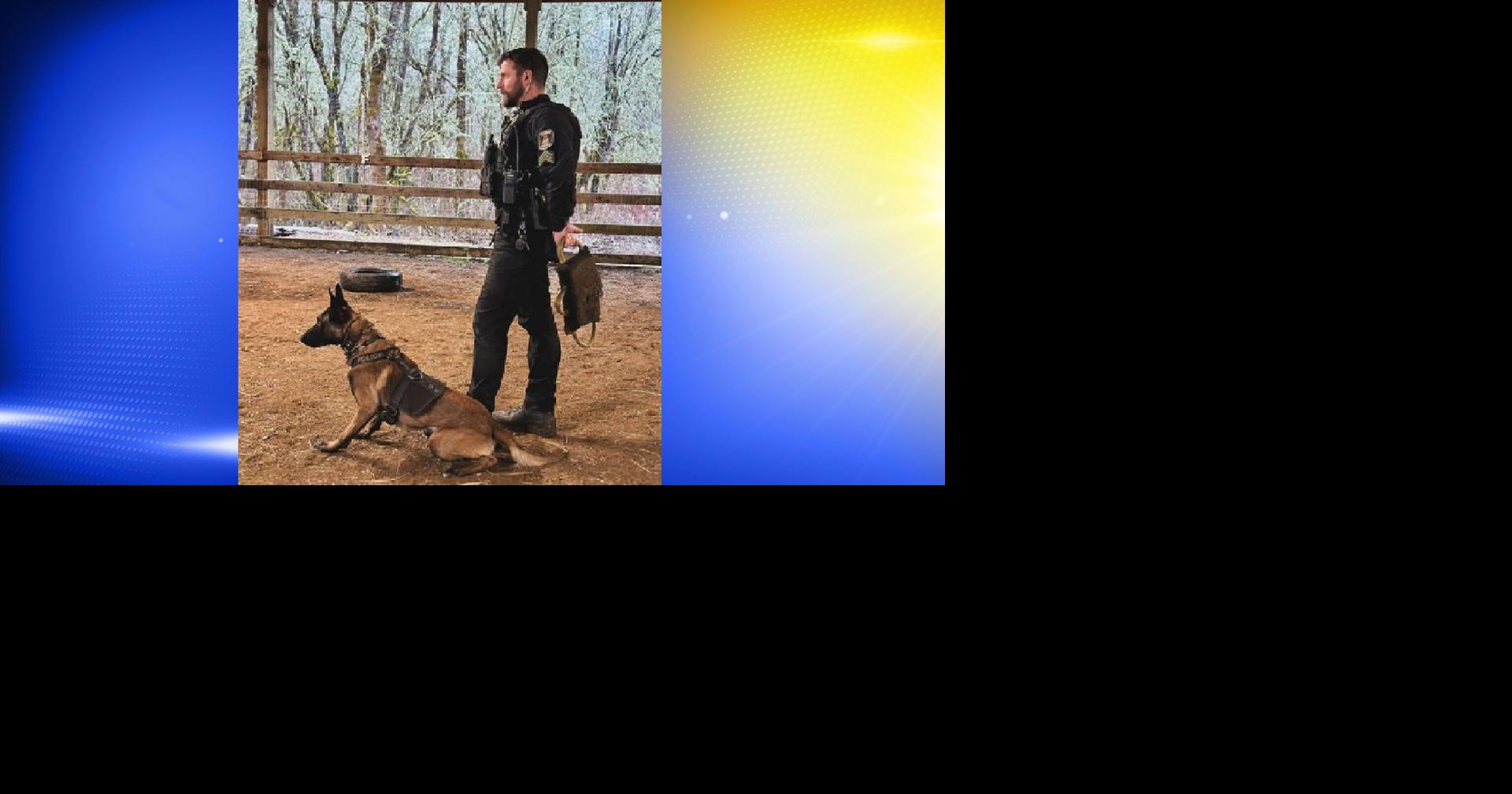 K9 assists in arrest of man accused of burglarizing former YMCA ...
