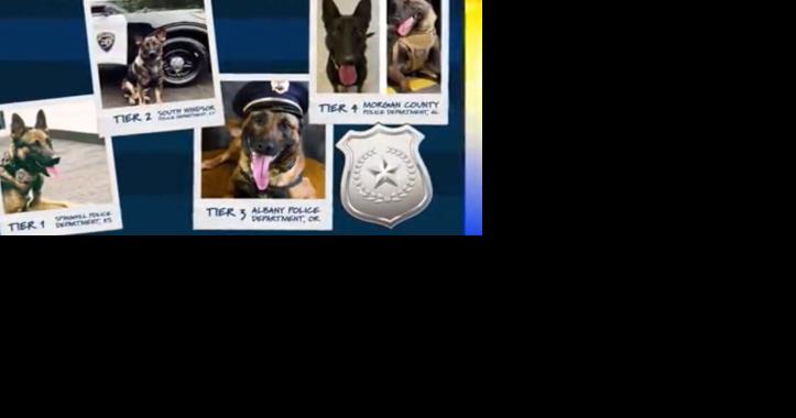 Albany Police Department wins northwest region Aftermath K-9 grant competition - Vimarsana News