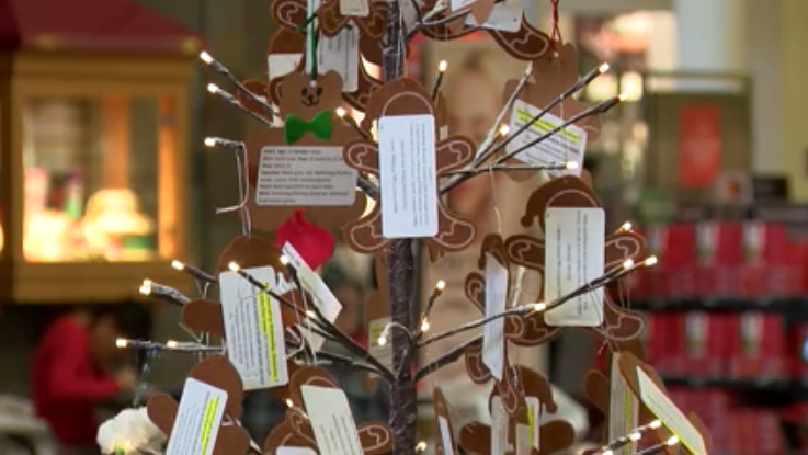 United Way of the Crossroads hosting 'Senior Giving Tree' to make sure  local senior citizens get gifts, Holidays