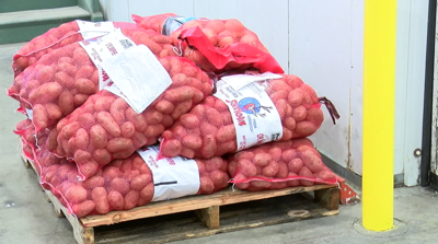 Potatoes at Food for Lane County warehouse