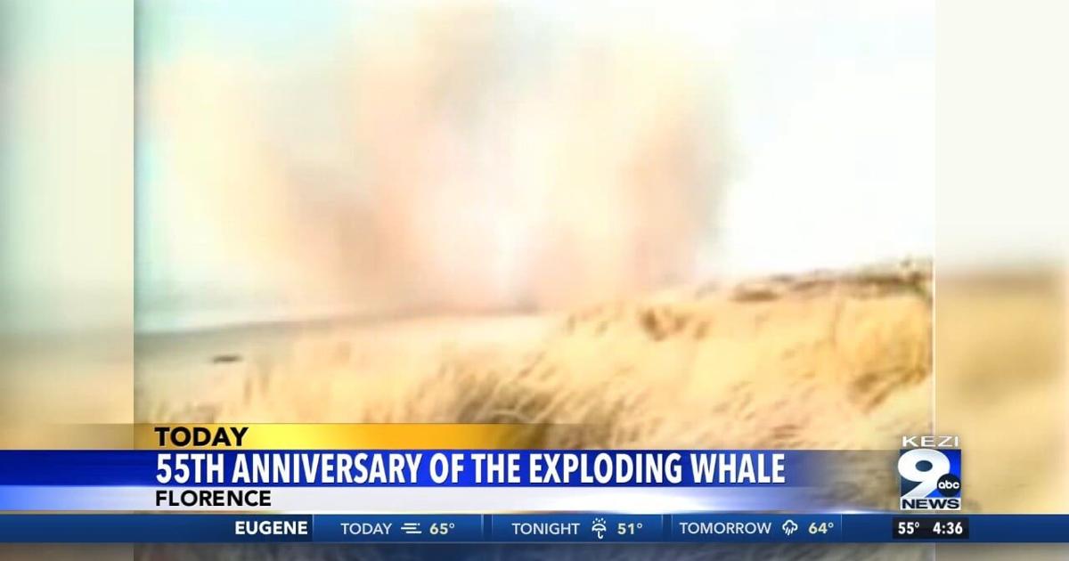55th Anniversary of the Exploding Whale | Video | kezi.com