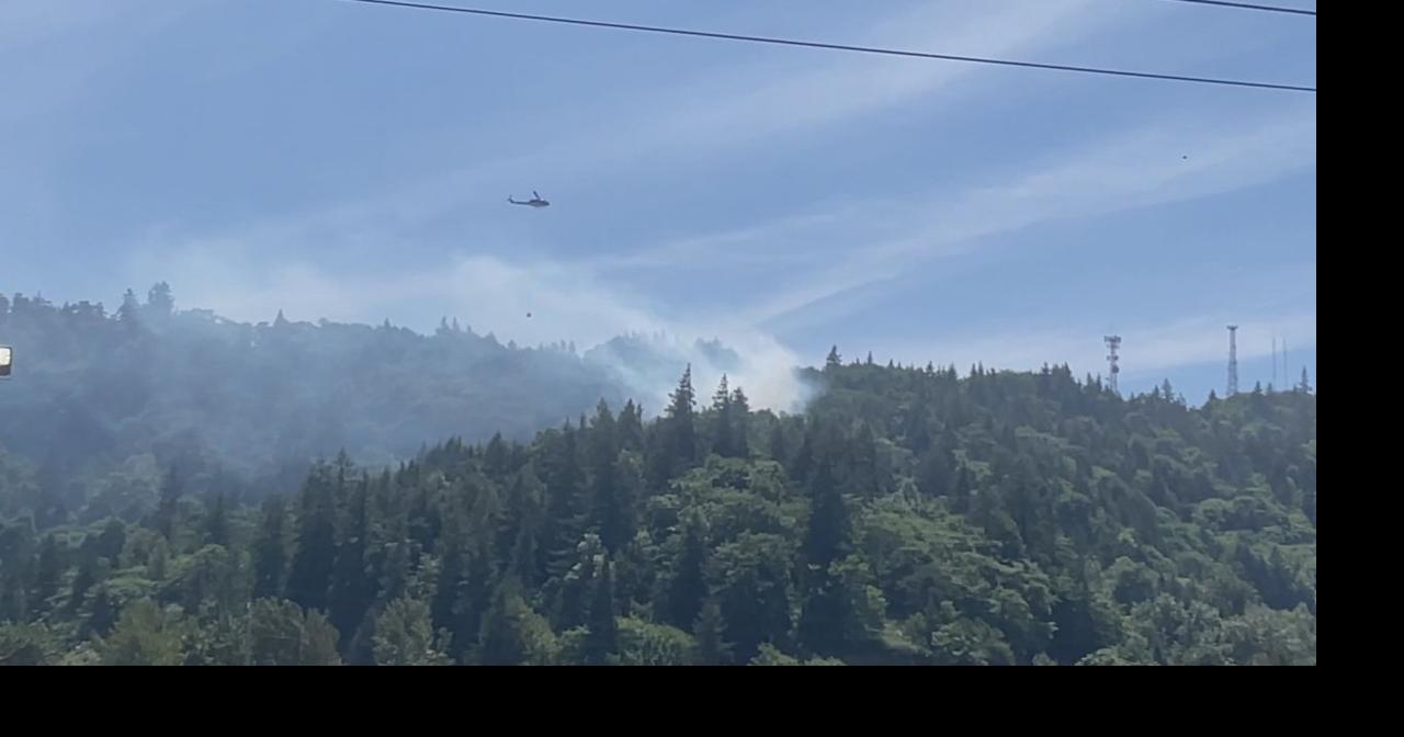 Five acre brush fire in Springfield "fully under control" | News | kezi.com