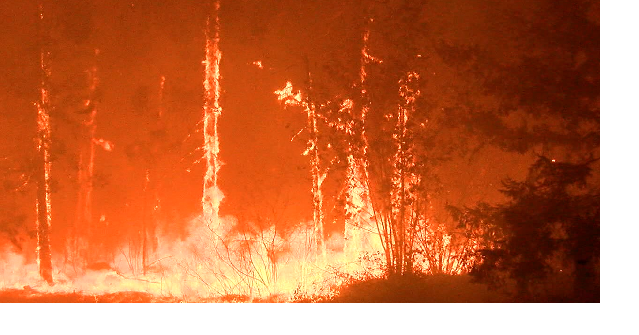 68bf80cff0d55.image.png?crop=1277,670,0,