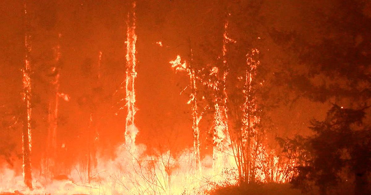 68bf80cff0d55.image.png?crop=1277,670,0,