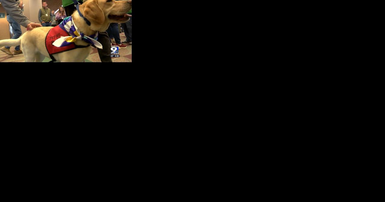 Eugene Airport greets travelers with FETCH therapy dogs - Vimarsana News